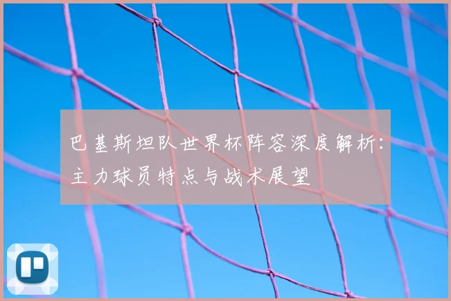 巴基斯坦队世界杯阵容深度解析：主力球员特点与战术展望